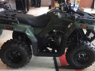2017 Arctic Cat Alterra 300 ATV 